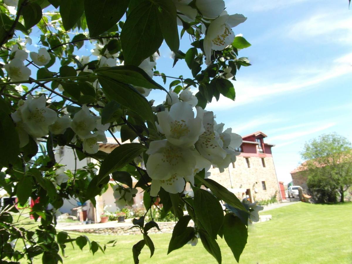 Albergue La Torre Santiurde de Reinosa ภายนอก รูปภาพ